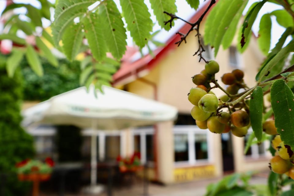 Tawerna Murena Bed and Breakfast in Pomeranian Voivodeship