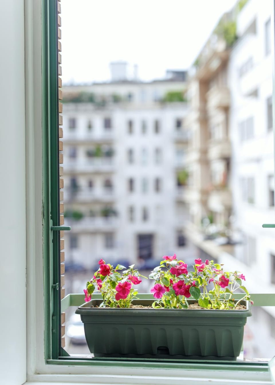 Property building, Spring, Day, View (from property/room), City view