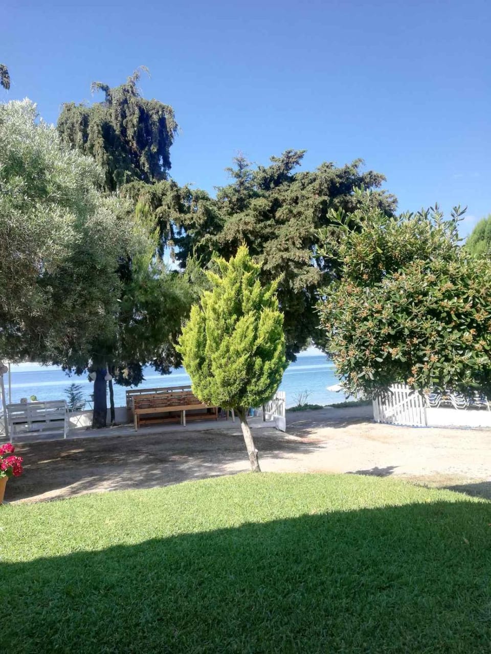Garden view