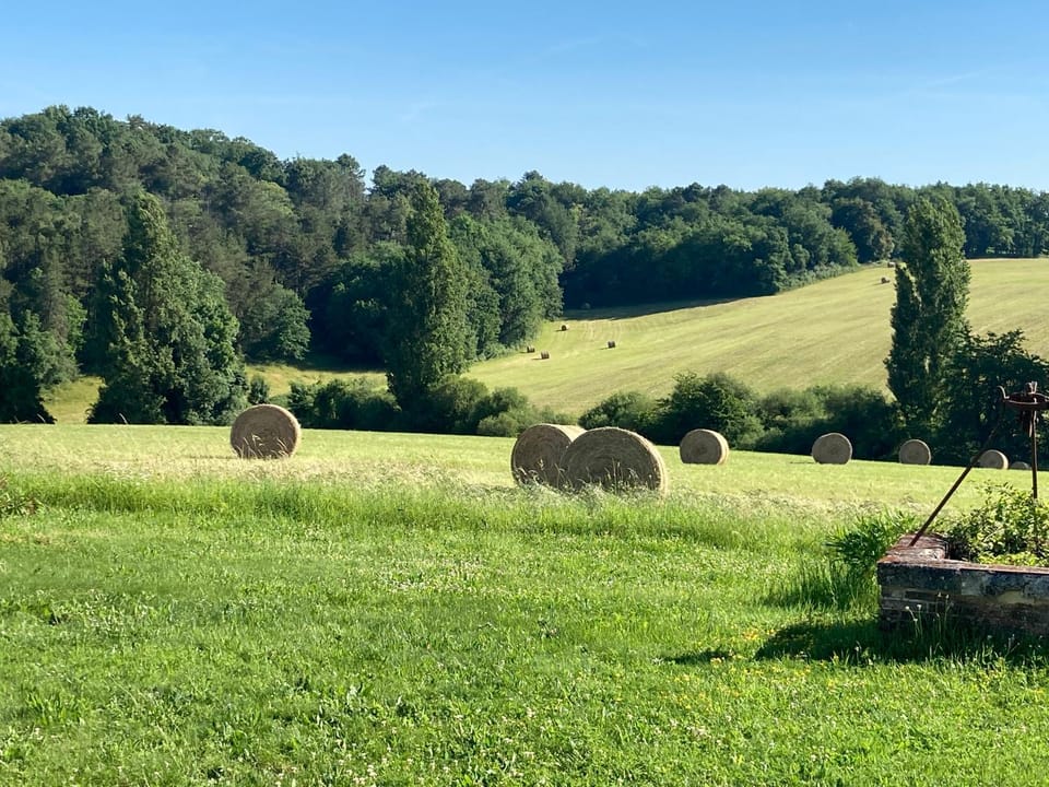 Natural landscape