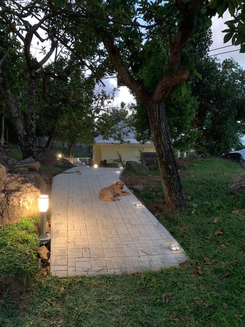 Garden, Pets
