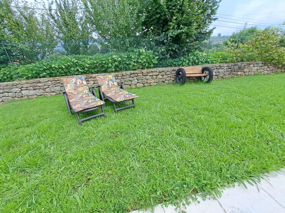 Garden, sunbed