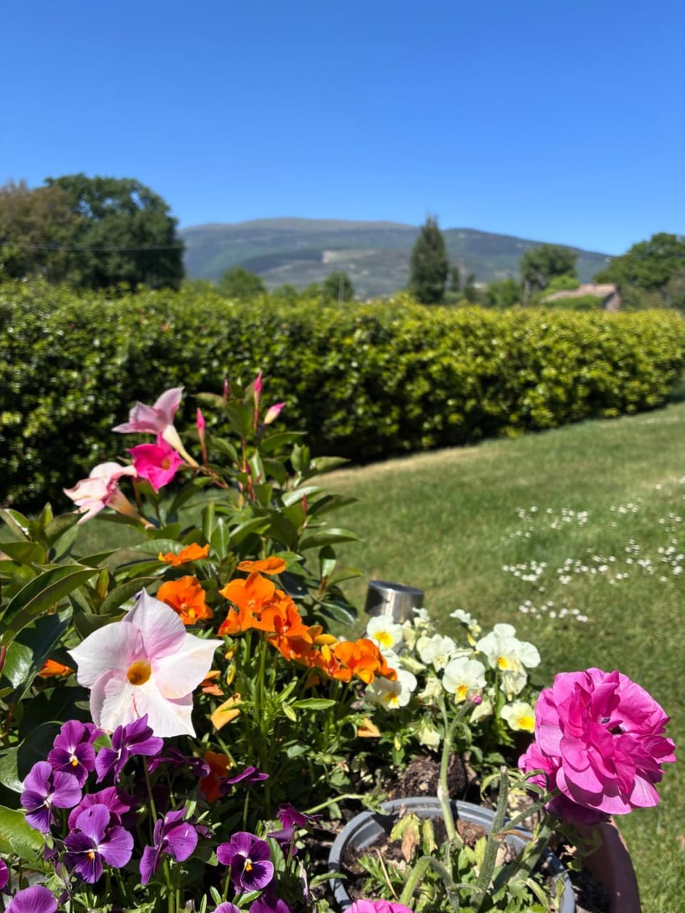 Il giardino delle rose Apartment in Umbria