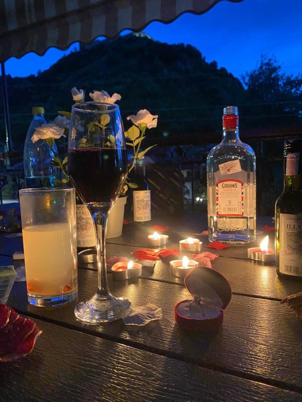 View (from property/room)