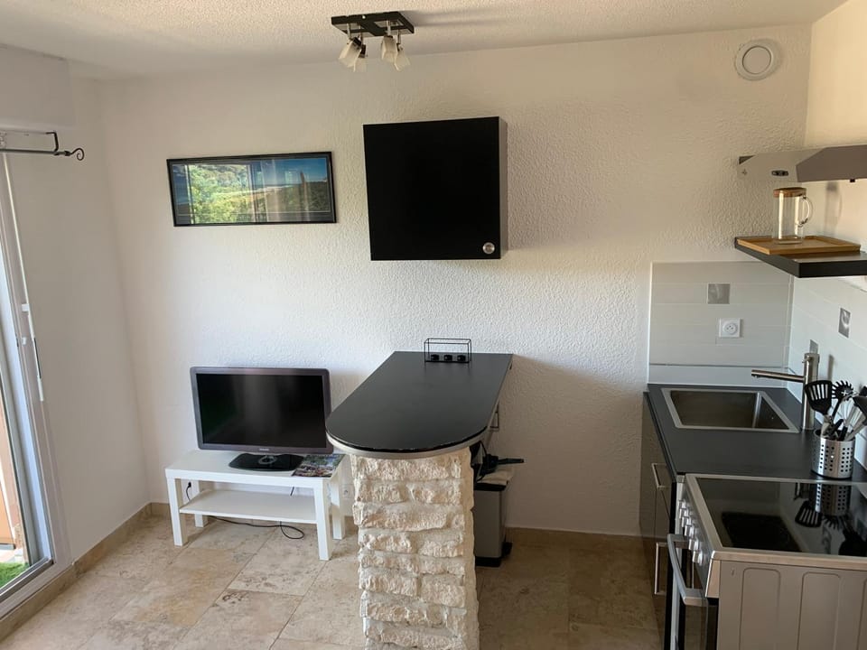 TV and multimedia, Kitchen or kitchenette, minibar, oven, pet friendly, stove