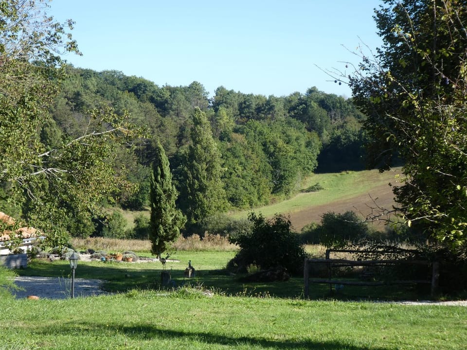 View (from property/room)
