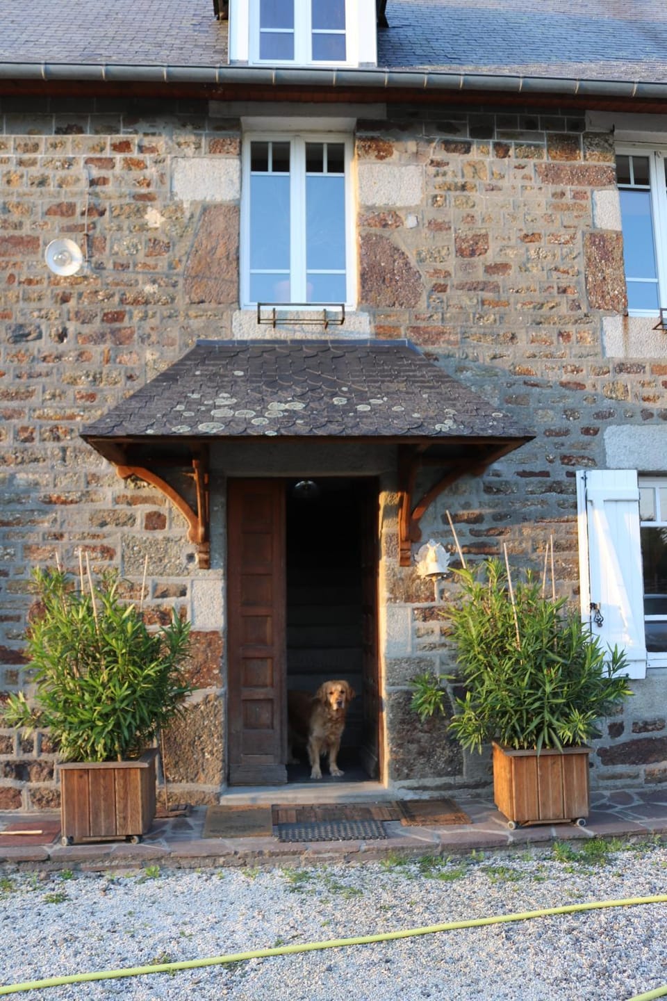 Property building, Pets