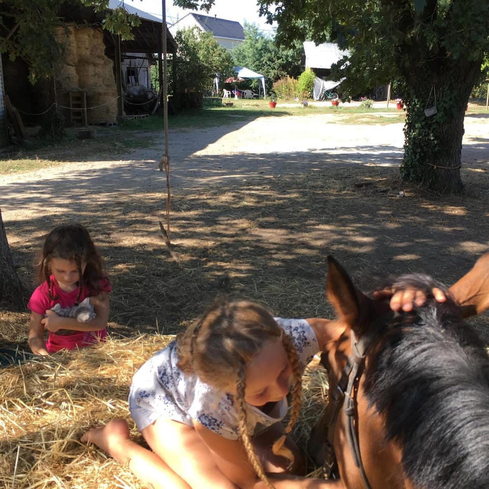 Pets, children
