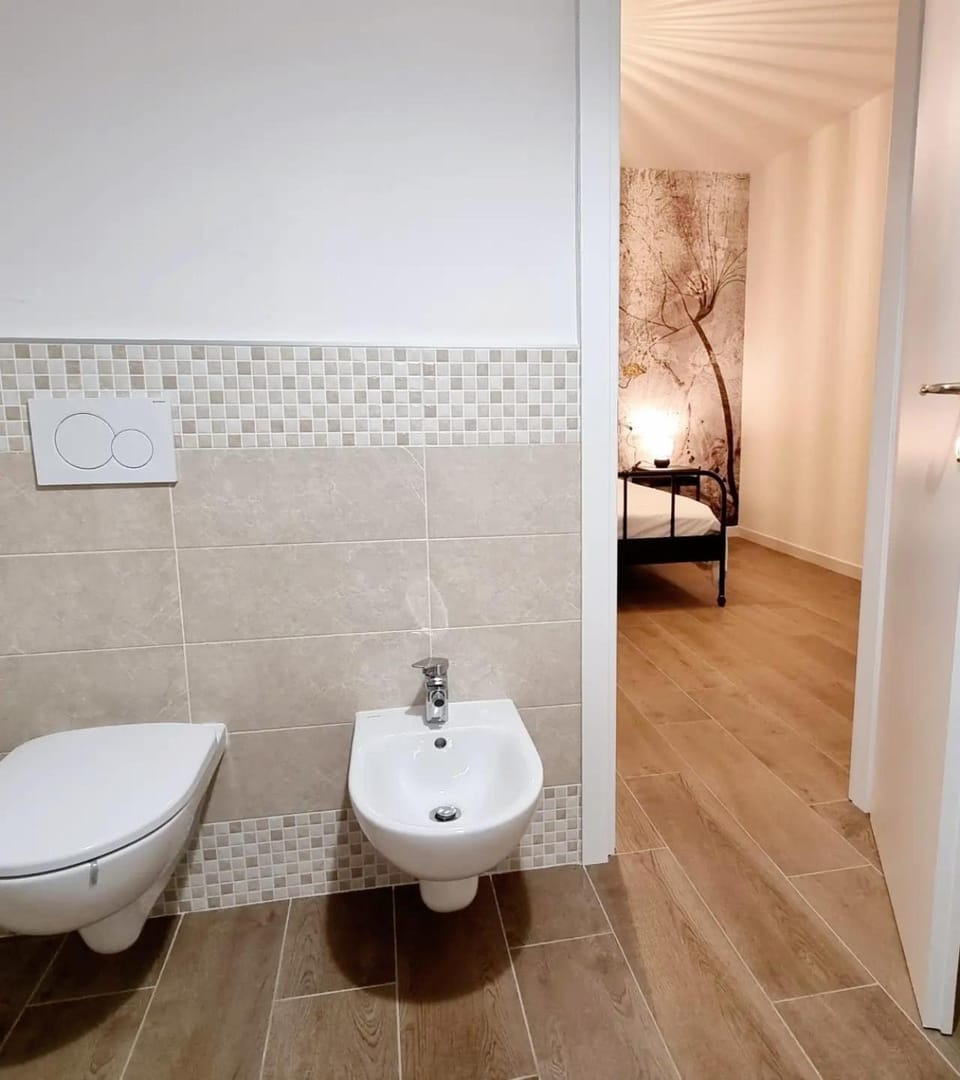 Toilet, Bathroom, bidet