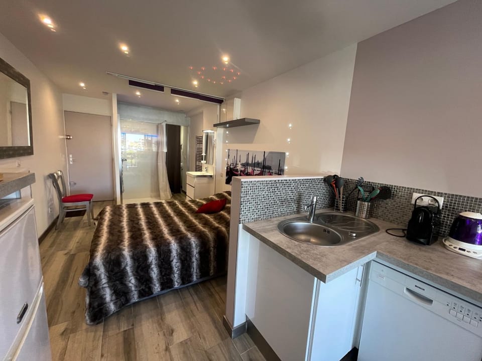 Bed, Coffee/tea facilities, Kitchen or kitchenette, Photo of the whole room, Bedroom, dishwasher, minibar, stove