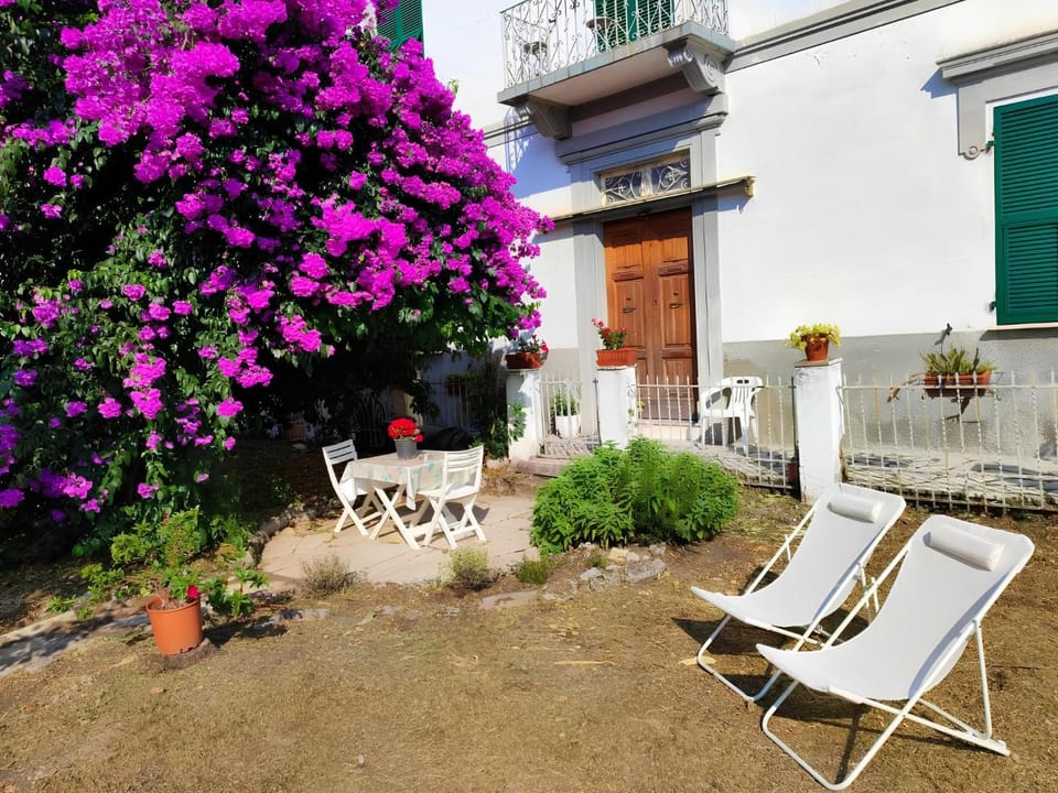 Property building, Garden