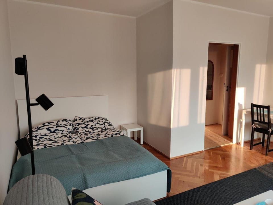 Bed, Living room, Photo of the whole room, Seating area, Bedroom