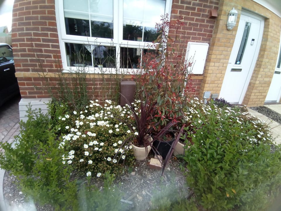 New home 5 minutes away from Goodwood Racecourse House in Chichester