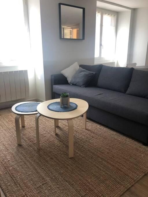 Superbe Appartement Apartment in Auvergne-Rhône-Alpes