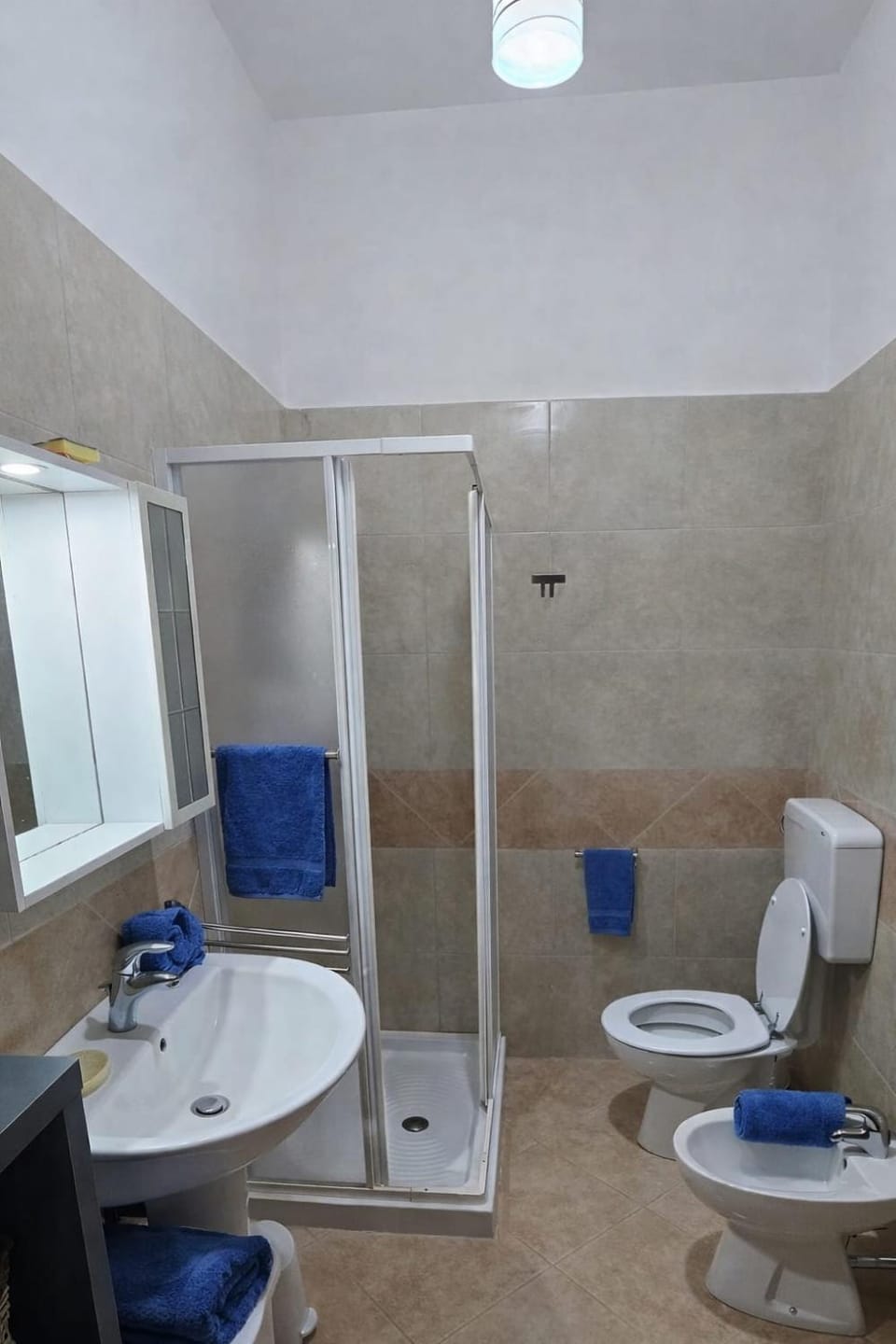 Shower, Toilet, Bathroom, bidet, towels