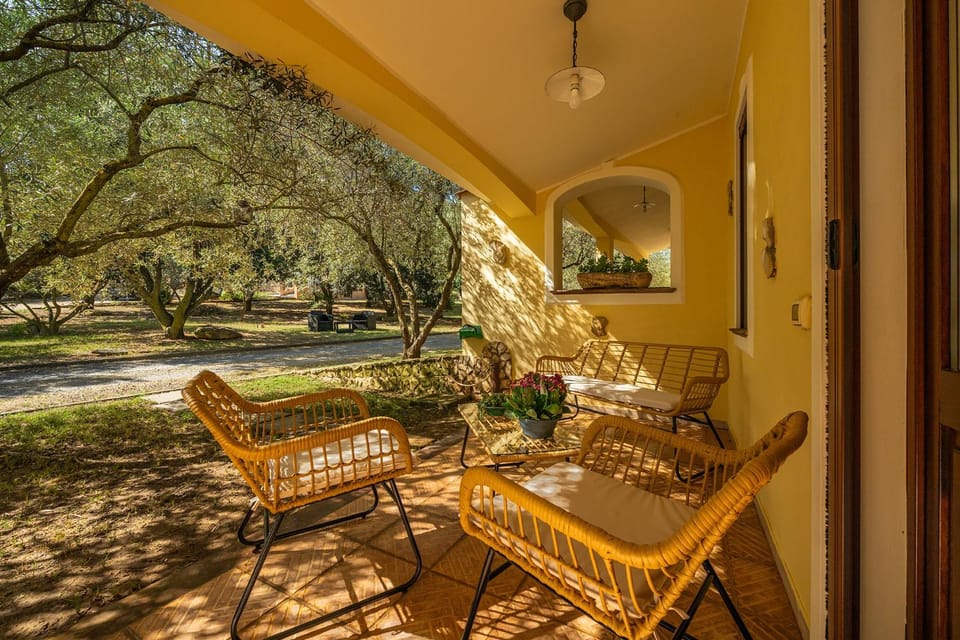 Property building, Natural landscape, Garden, View (from property/room), Street view, Quiet street view, Inner courtyard view, furniture