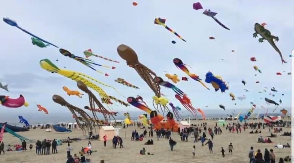 T2 Berck PLAGE, parking privé, Apartment in Berck