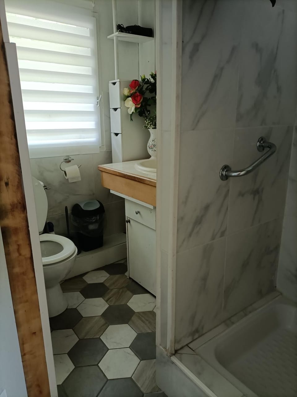 Shower, Toilet, Bathroom