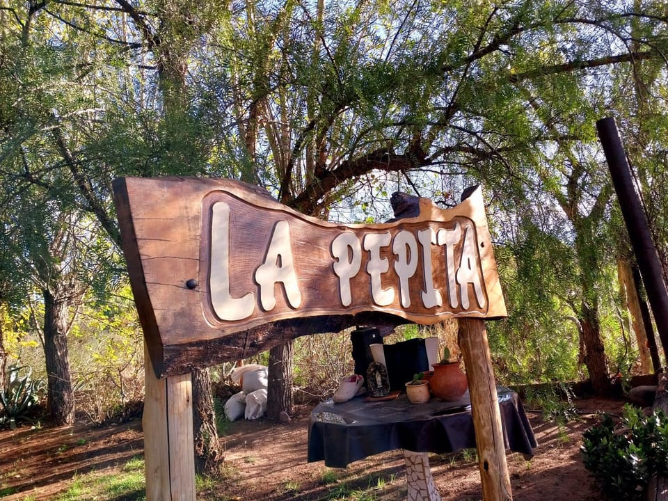 La Pepita Chalet in Mendoza Province Province