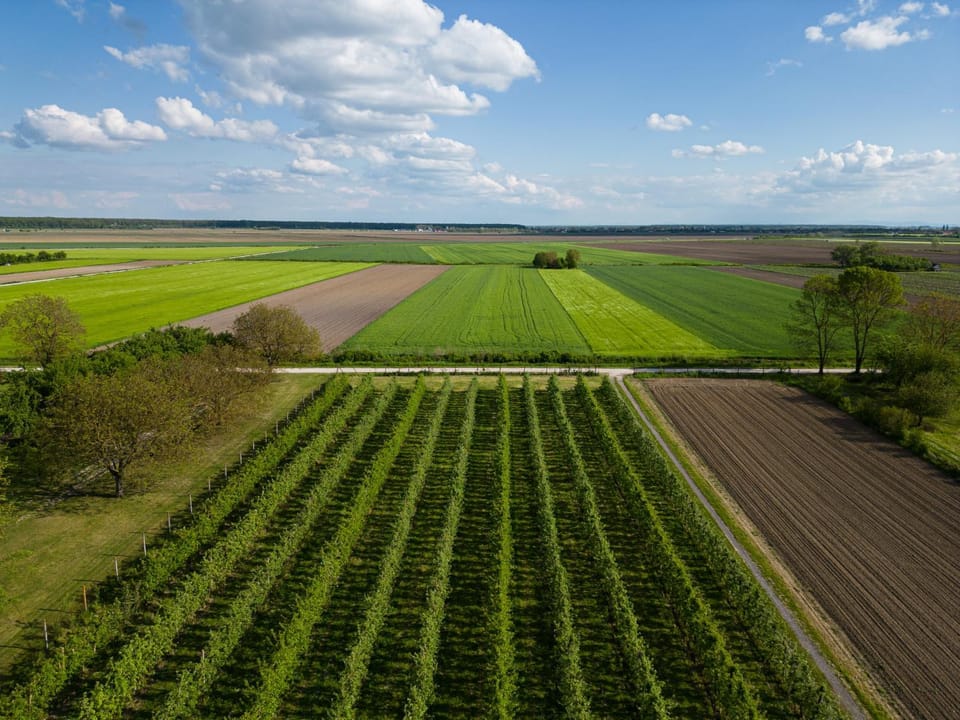 Spring, Natural landscape, Bird's eye view