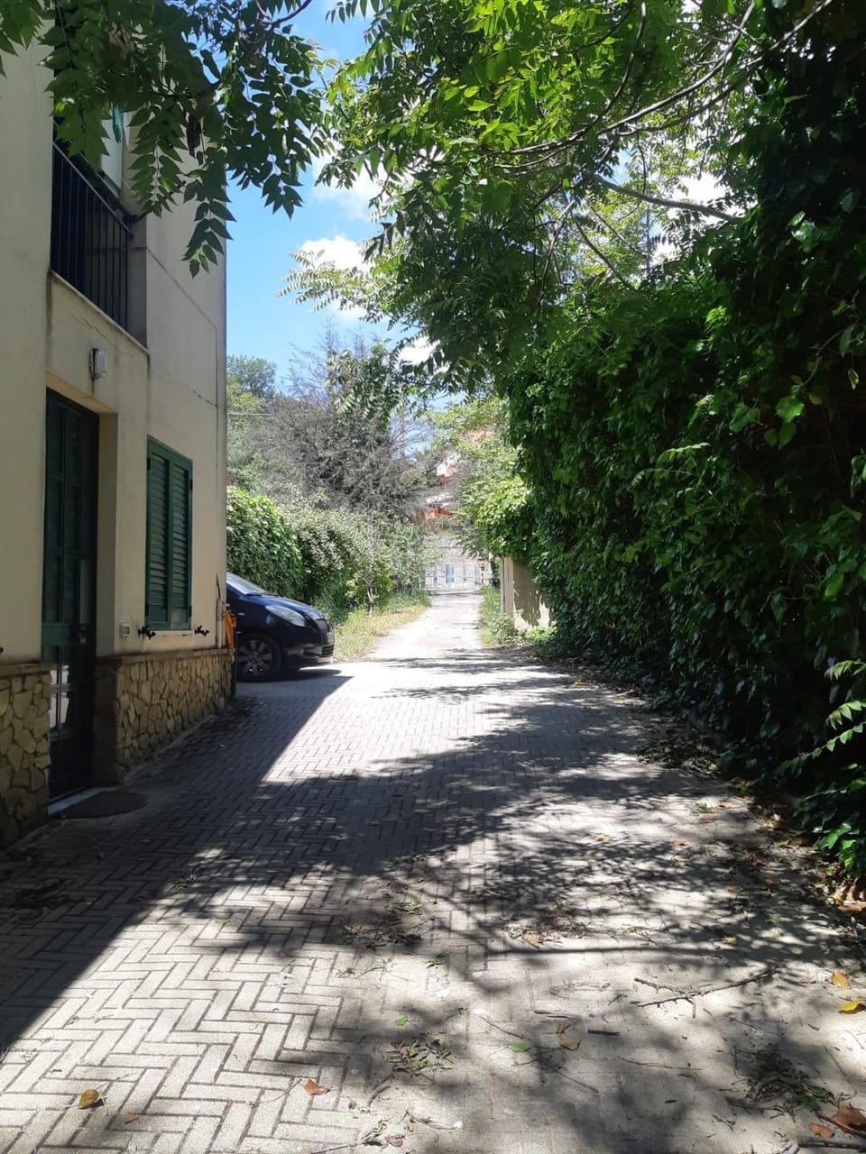 Garden view, Street view