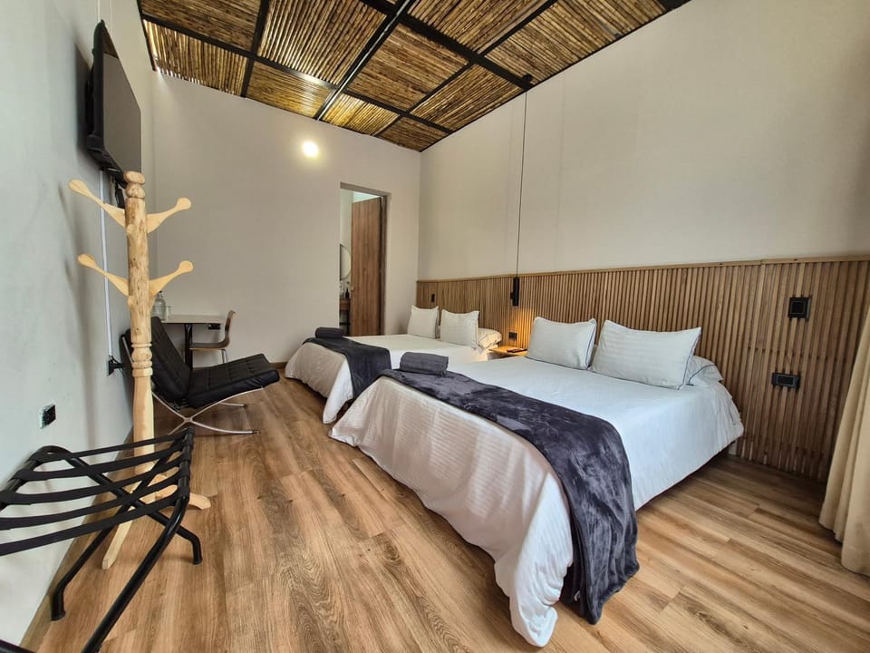 Bed, TV and multimedia, Photo of the whole room, Bedroom