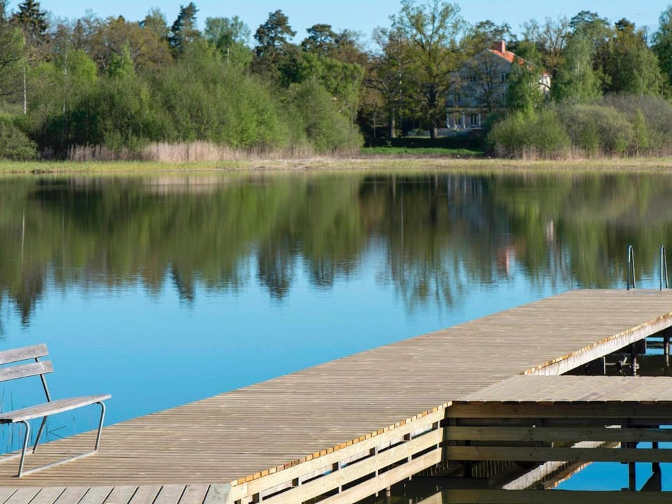 Lake view