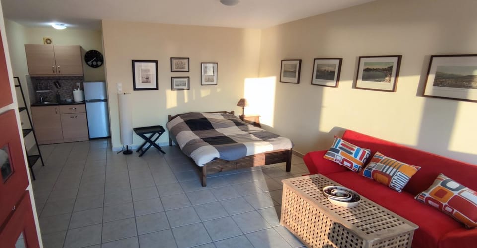 Bed, Kitchen or kitchenette, Living room, Photo of the whole room, Seating area, Bedroom
