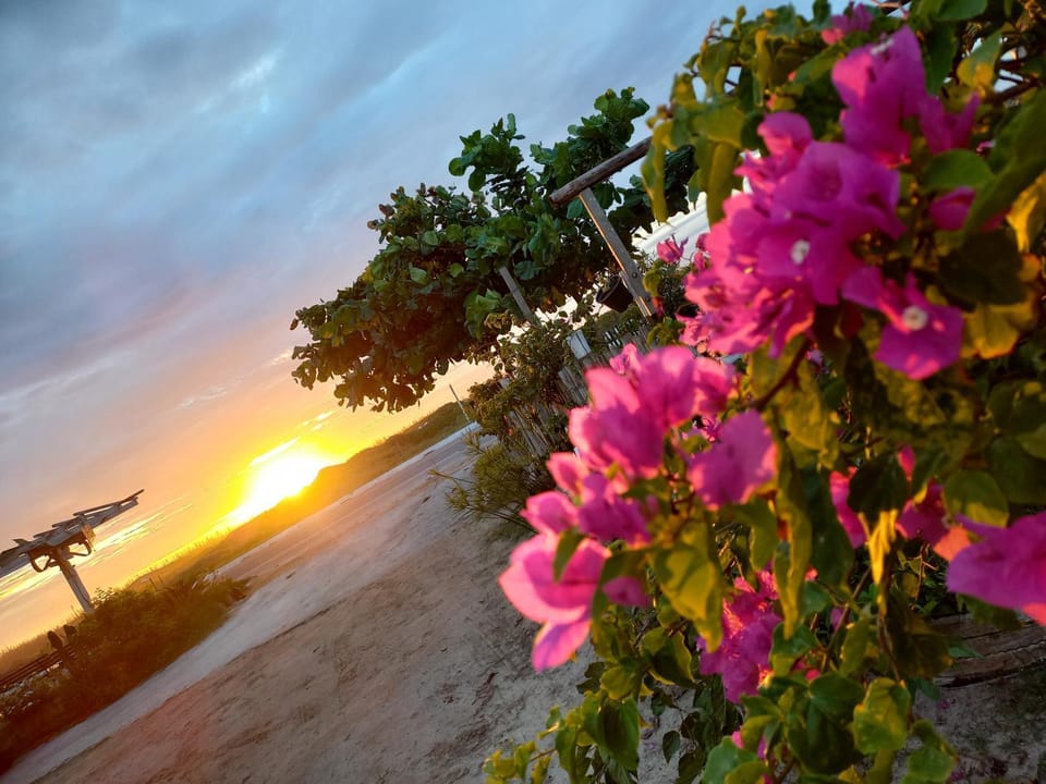 Suite Flor do mar Apartment in Cabo Frio