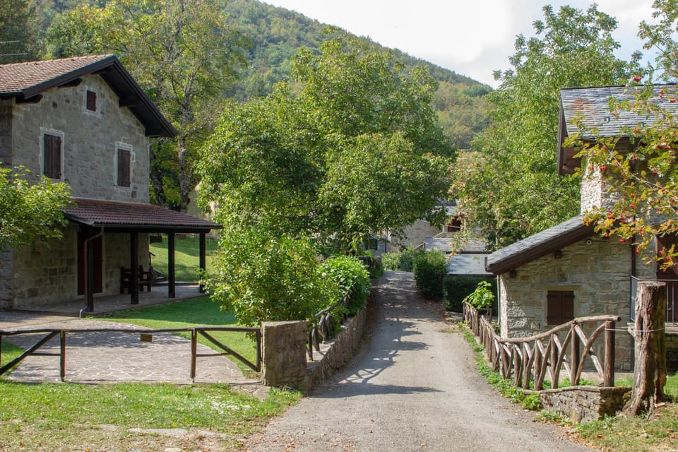 Spring, Day, Neighbourhood, Natural landscape, Garden, Mountain view