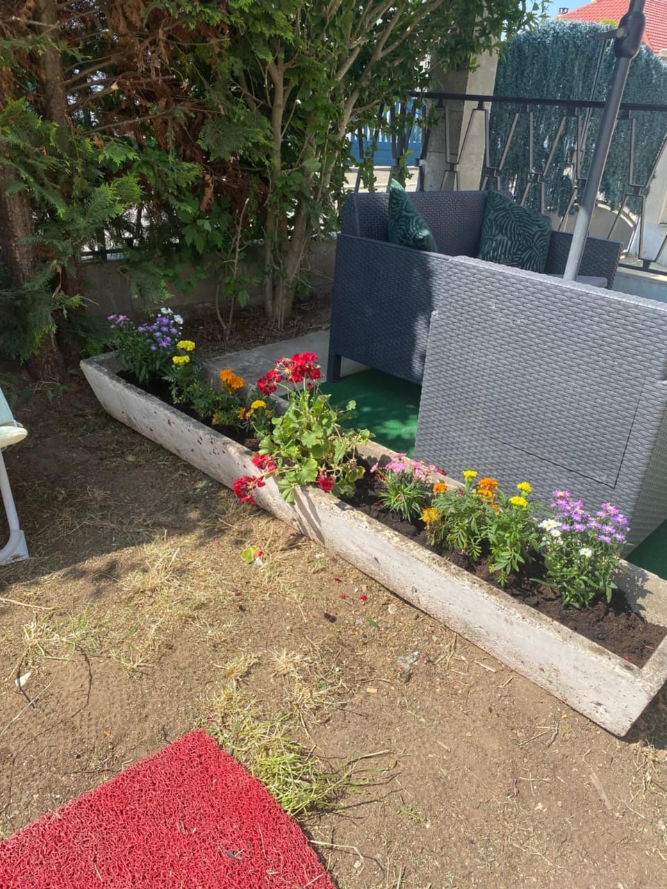 Garden view