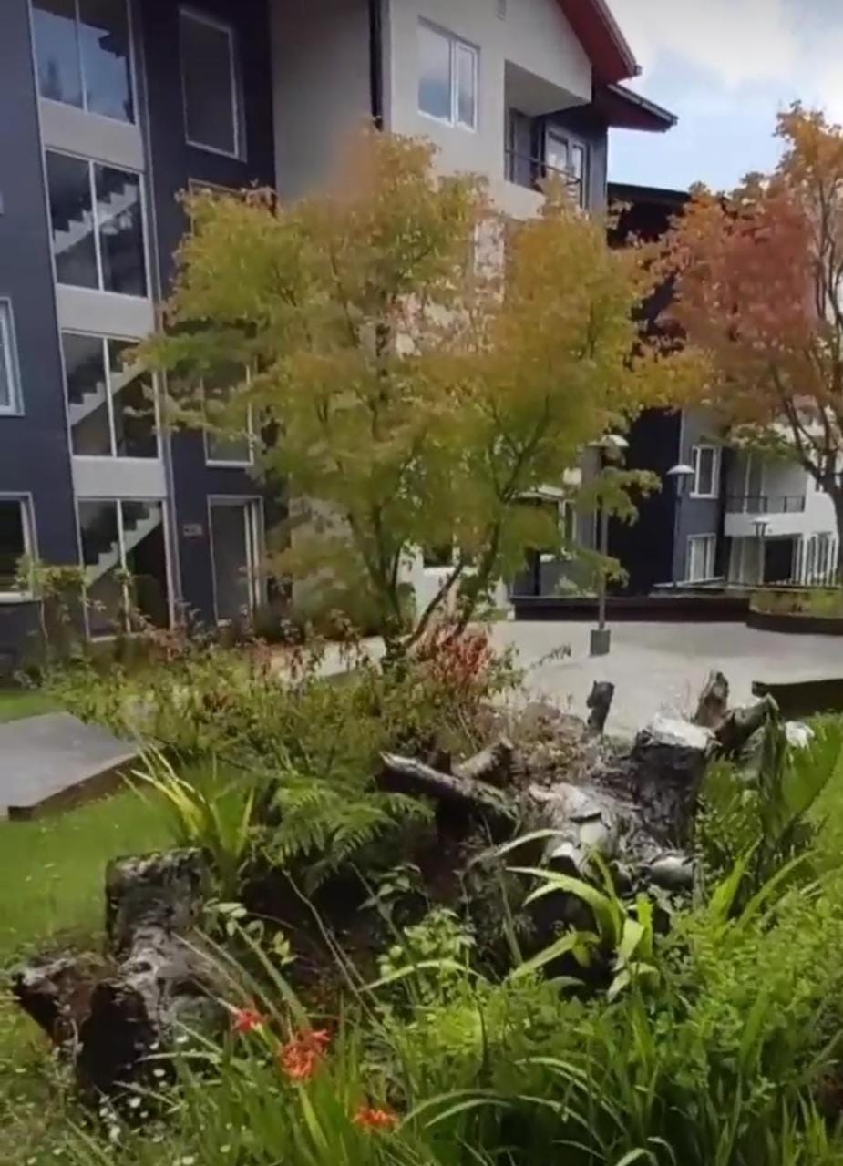 Departamento Pucon, para 5 personas Apartment in Pucon