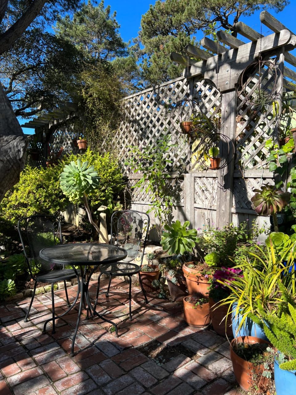 Patio, Garden, Garden view, Internal: Not applicable to any particular room