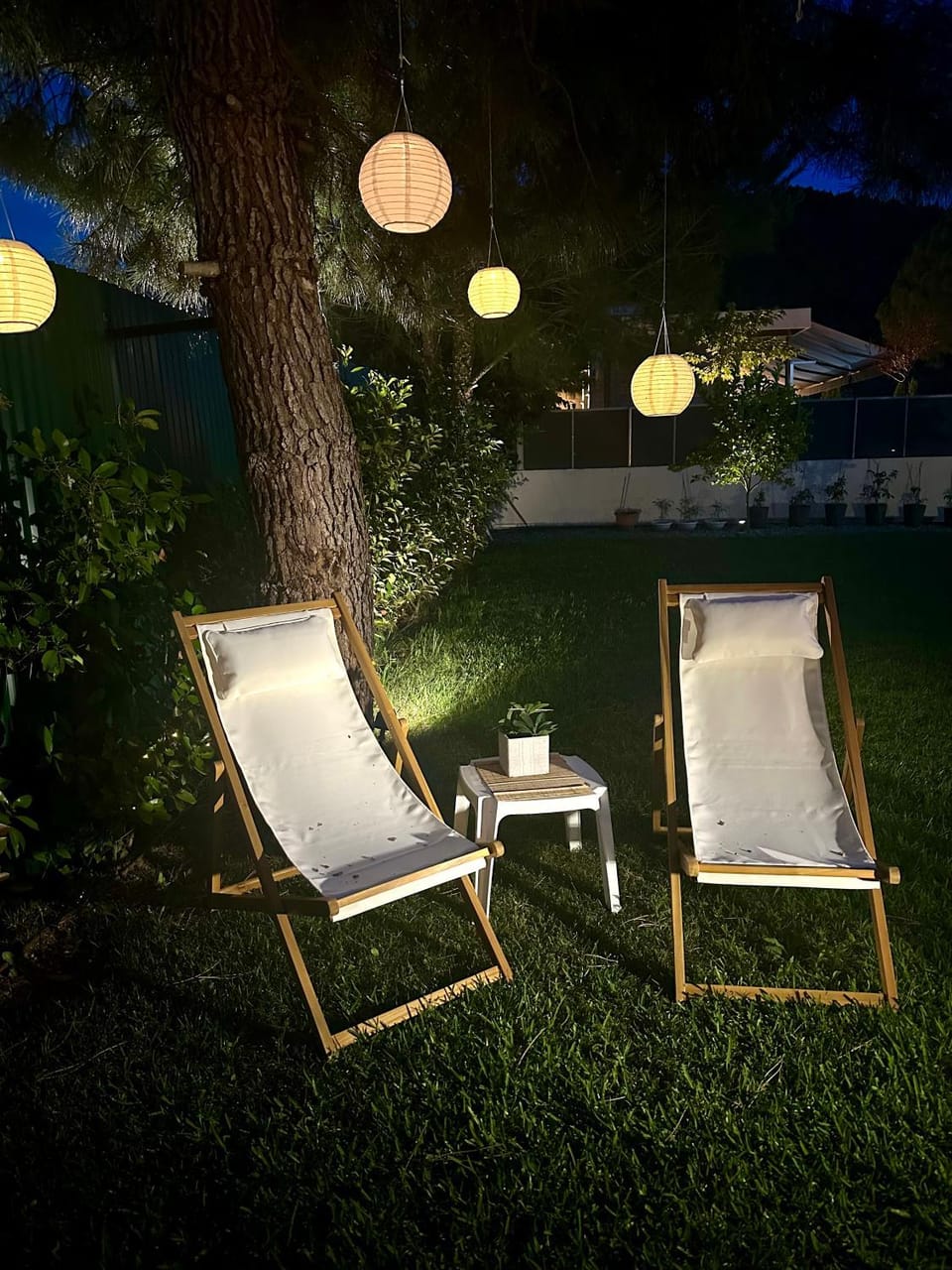 Night, Garden