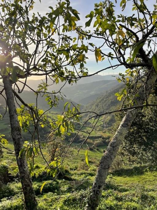 Casa do Moura House in Viana do Castelo District, Portugal