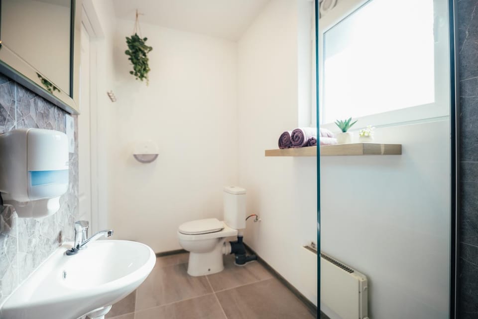 Shower, Toilet, Bathroom, towels