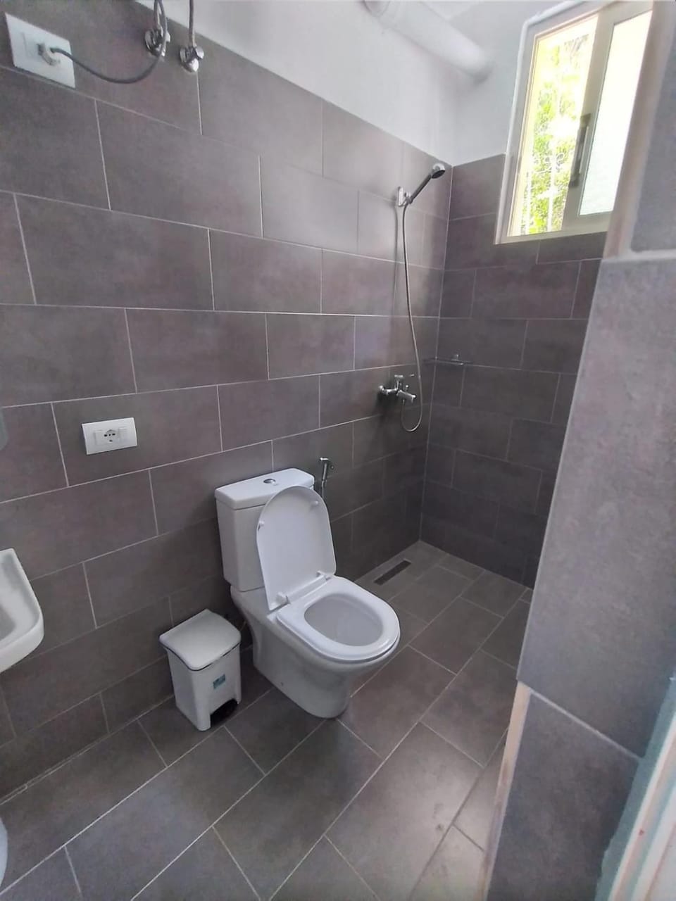 Shower, Toilet, Bathroom, bidet