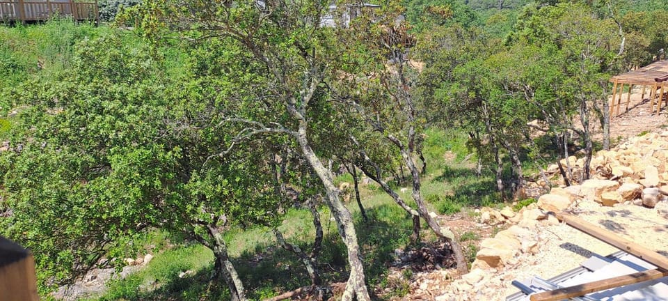 Natural landscape