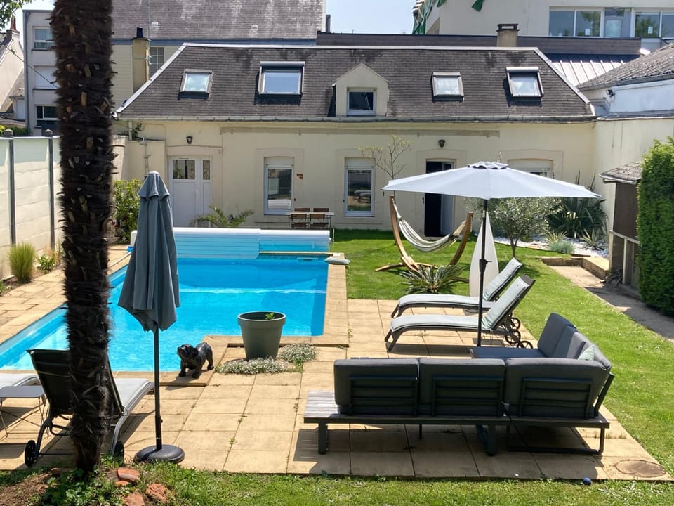 Garden, Garden, Swimming pool, Swimming pool
