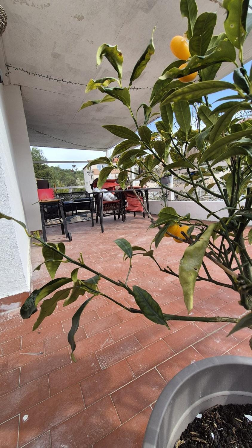 Patio, Day