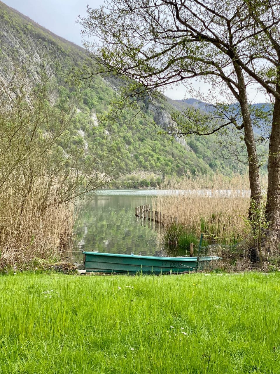 Beach, Lake view