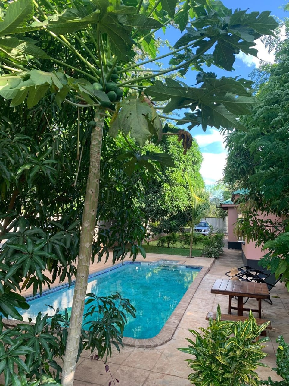 Garden, Pool view, Swimming pool, Swimming pool, sunbed