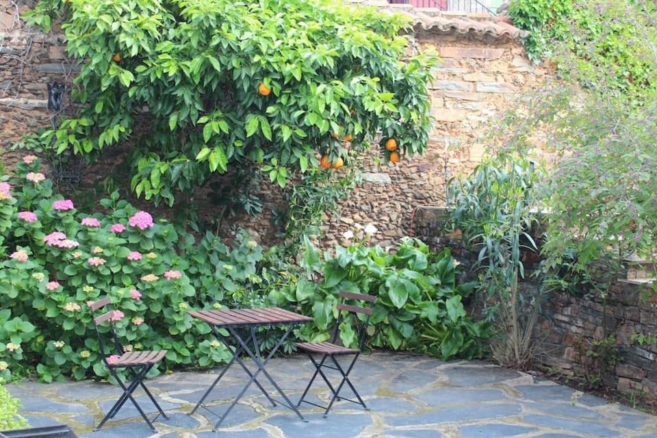 Garden, Garden view