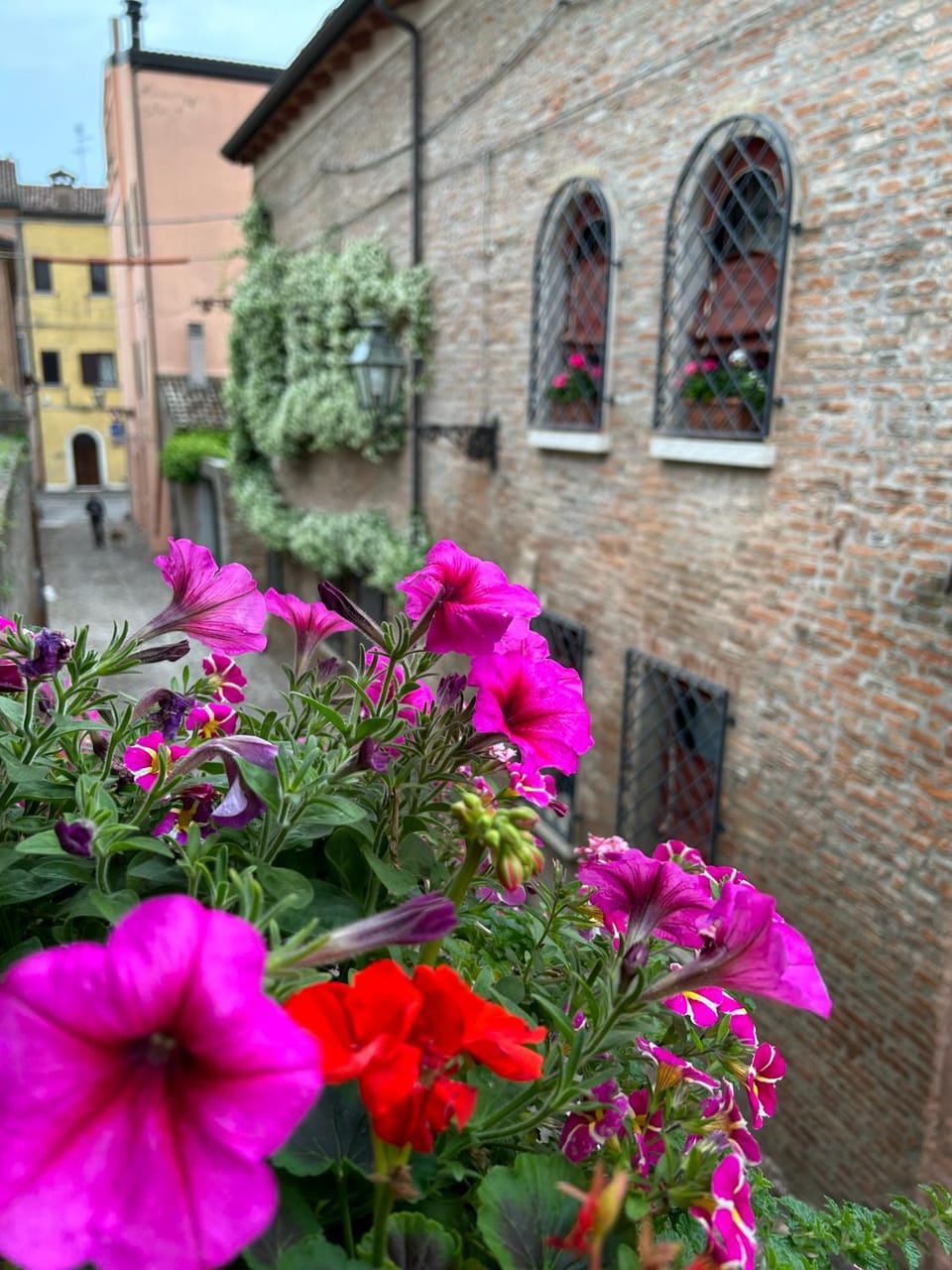 Spring