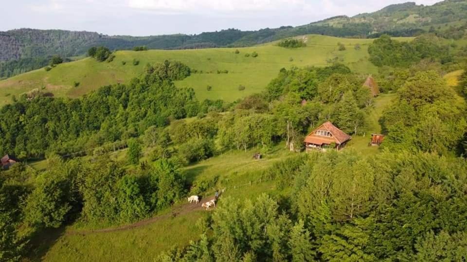 Almost Heaven - cabană cu vedere în Apuseni House in Hungary