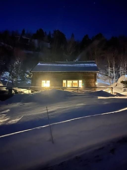 Night, Winter