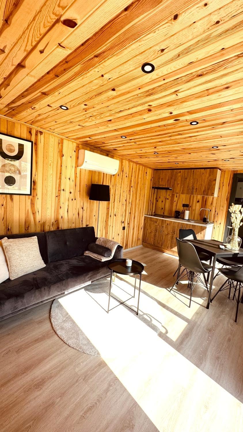 Cozy Tiny House bij het Leekstermeer House in Drenthe (province)