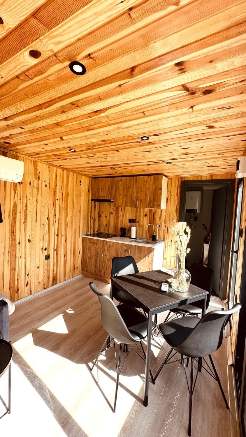 Cozy Tiny House bij het Leekstermeer House in Drenthe (province)