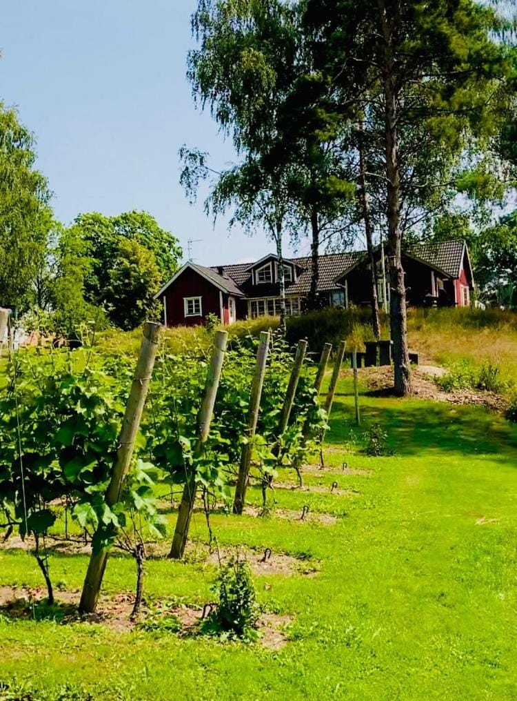 The Wine Lodge-Bo på vingård House in Skåne County