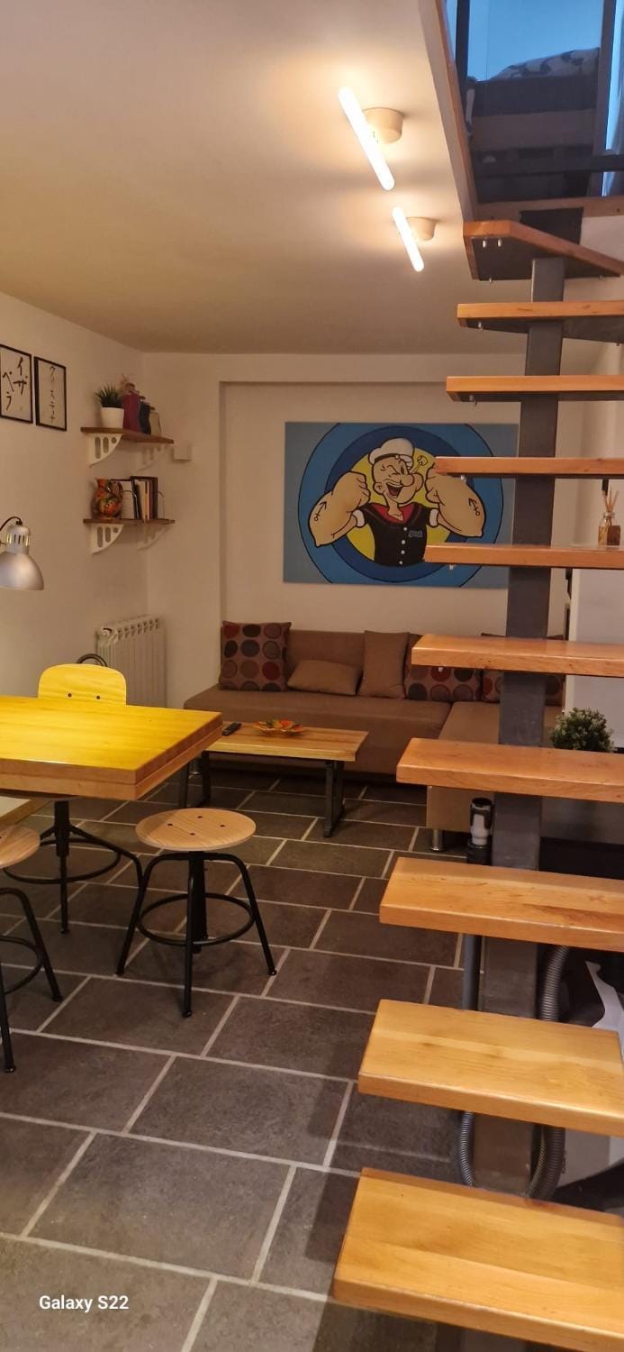 Micro Apartment in Belgrade